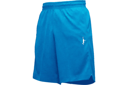 IN THE PAINT AERO SILVER SHORTS / 󥶥ڥ  С 硼