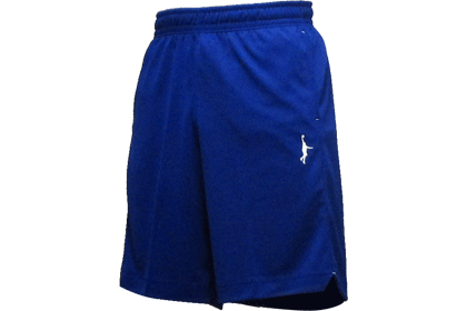 IN THE PAINT AERO SILVER SHORTS / 󥶥ڥ  С 硼