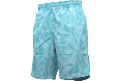 IN THE PAINT TRIANGLE SHORTS / 󥶥ڥ ȥ饤󥰥 硼
