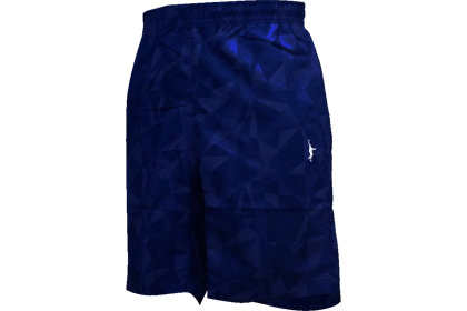 IN THE PAINT TRIANGLE SHORTS / 󥶥ڥ ȥ饤󥰥 硼