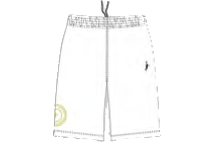IN THE PAINT DEEP GOLD SHORTS / 󥶥ڥ ǥ  硼