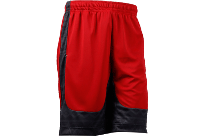 IN THE PAINT[󥶥ڥ] IN THE PAINT FREE STYLE SHORTS / 󥶥ڥ ե꡼ 硼[ݥå]