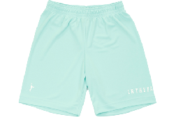 IN THE PAINT[インザペイント] IN THE PAINT SHORTS / インザペイント ショーツ【ITP23320】