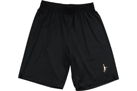 IN THE PAINT SHORTS / 󥶥ڥ 硼