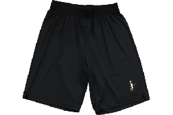 IN THE PAINT[インザペイント] IN THE PAINT SHORTS / インザペイント ショーツ【ITP23335】