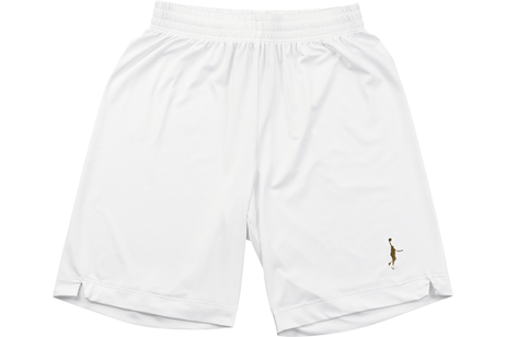 IN THE PAINT SHORTS / 󥶥ڥ 硼
