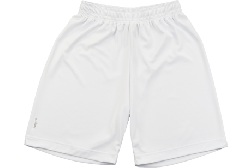 IN THE PAINT[インザペイント] IN THE PAINT SHORTS / インザペイント ショーツ [ショート丈]【ITP23339】