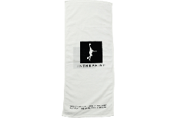 IN THE PAINT[インザペイント] IN THE PAINT SPORTS TOWEL / インザペイント スポーツ タオル【ITP23450】