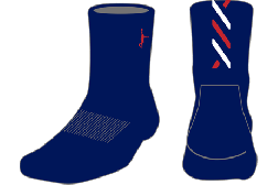IN THE PAINT[インザペイント] IN THE PAINT SOCKS / インザペイント ソックス 限定カラー【ITP23329】