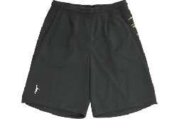 IN THE PAINT[インザペイント] IN THE PAINT PANEL SHORTS / インザペイント パネル ショーツ【ITP23430】