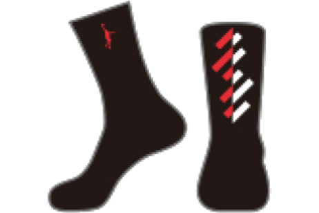 IN THE PAINT[󥶥ڥ] IN THE PAINT SOCKS / 󥶥ڥ åITP24342