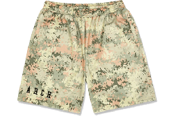 <img class='new_mark_img1' src='https://img.shop-pro.jp/img/new/icons1.gif' style='border:none;display:inline;margin:0px;padding:0px;width:auto;' />Arch[] Arch overlap camo shorts /  Сå  硼ġB124-105