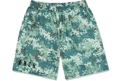 <img class='new_mark_img1' src='https://img.shop-pro.jp/img/new/icons1.gif' style='border:none;display:inline;margin:0px;padding:0px;width:auto;' />Arch[] Arch overlap camo shorts /  Сå  硼ġB124-104