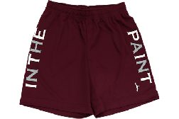 IN THE PAINT[󥶥ڥ] IN THE PAINT SHORTS / 󥶥ڥ 硼ġITP24432