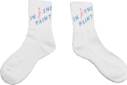 IN THE PAINT[󥶥ڥ] IN THE PAINT SOCKS / 󥶥ڥ åITP24488