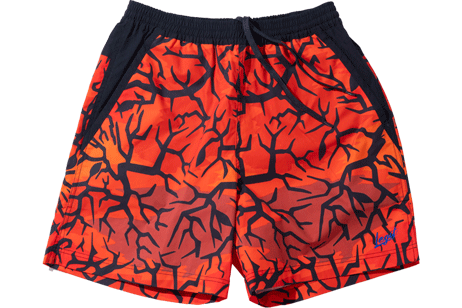 LEGIT[쥸å] CAMOUFLAGE SHORTS / ե顼 硼ġ2402-2003