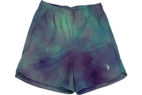 IN THE PAINT[󥶥ڥ] IN THE PAINT SHORTS / 󥶥ڥ ѥͥ 硼[ݥå]