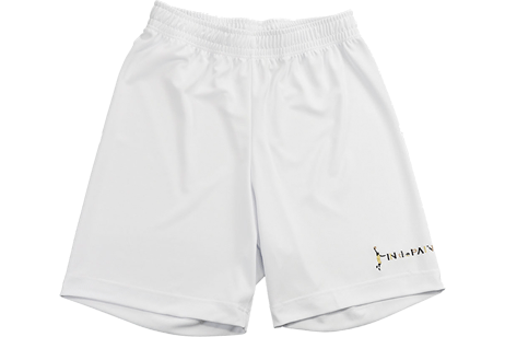 IN THE PAINT[󥶥ڥ] IN THE PAINT PANEL SHORTS / 󥶥ڥ ѥͥ 硼