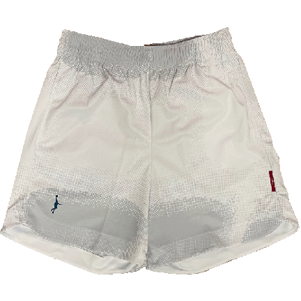 IN THE PAINT[󥶥ڥ] IN THE PAINT SHORTS / 󥶥ڥ ѥͥ 硼[ݥå]