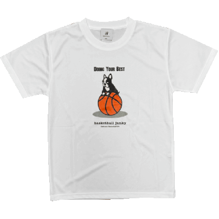 Basketball Junky[Хåȥܡ른󥭡] ˥ TġDOING YOUR BEST