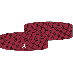 JORDAN[硼] 硼 DRI-FIT ƥ꡼ إåɥХɡJD2030