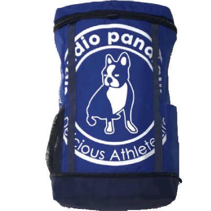 claudio pandiani[クラウディオ パンディアーニ] サークルロゴ ボックスパック【CP25D51】