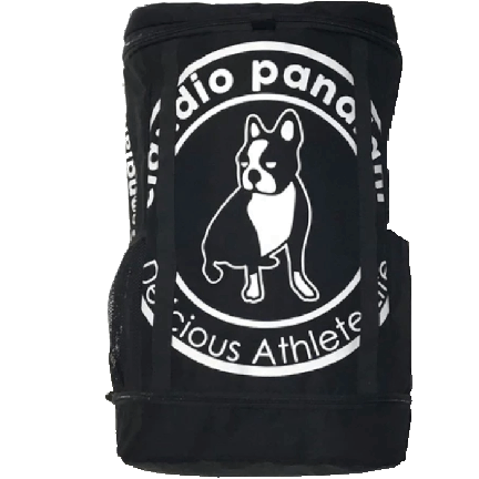 claudio pandiani[クラウディオ パンディアーニ] サークルロゴ ボックスパック【CP25D51】