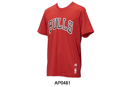 肩幅55cm【激レア】CHICAGO BULLS Tシャツ