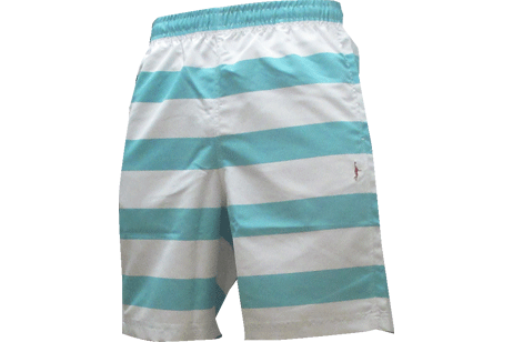 IN THE PAINT[󥶥ڥ] IN THE PAINT BORDER SHORTS / 󥶥ڥ ܡ 硼ġITP16318