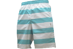 IN THE PAINT[󥶥ڥ] IN THE PAINT BORDER SHORTS / 󥶥ڥ ܡ 硼ġITP16318