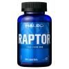 HALEO¡ÖRAPTOR¡Ê¥é¥×¥¿¡¼¡Ë¡×