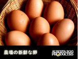 新鮮な農場卵