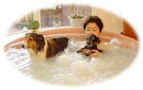 愛犬と一緒に入浴