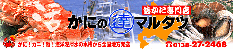函館蟹卸・業販「かにのマルタツ」北海道活カニ アワビ ホタテ 直送通販　海外輸出販売 