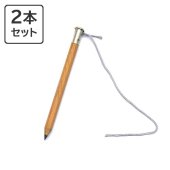 DAIGO ダイゴー 手帳用鉛筆 六角 すぐログ PLAN/THINK用 【2本入】　S2013