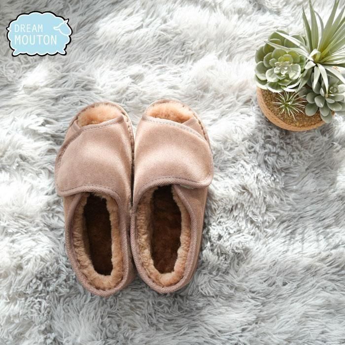  Ԥ11ͽꡡ ɥ꡼ࡼȥ󥱥塼