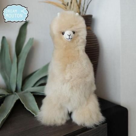 <img class='new_mark_img1' src='https://img.shop-pro.jp/img/new/icons6.gif' style='border:none;display:inline;margin:0px;padding:0px;width:auto;' />ѥΥ⥳äդդΤ̤