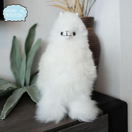 <img class='new_mark_img1' src='https://img.shop-pro.jp/img/new/icons6.gif' style='border:none;display:inline;margin:0px;padding:0px;width:auto;' />դ異ѥʡäդդΤ̤