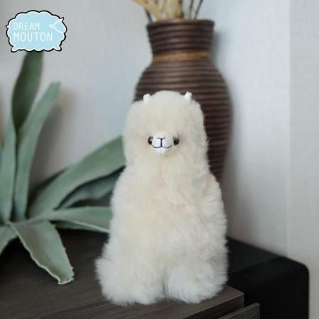 <img class='new_mark_img1' src='https://img.shop-pro.jp/img/new/icons6.gif' style='border:none;display:inline;margin:0px;padding:0px;width:auto;' />դ⤳ѥߥ륯äդդΤ̤