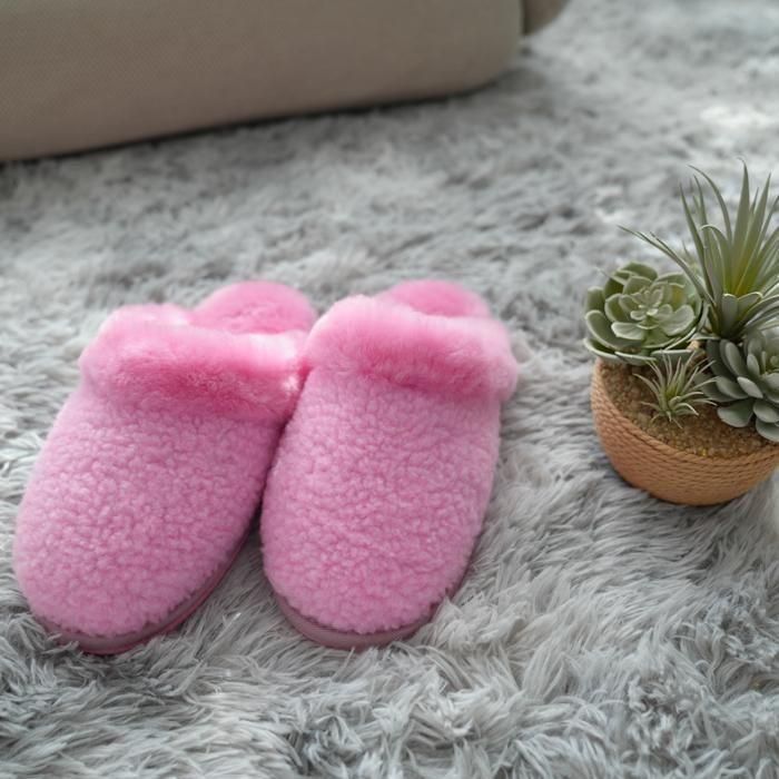  Newࡼȥեå 2Ÿ (2325cm)(2527cm)