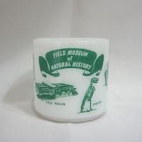FIELD MUSEUM