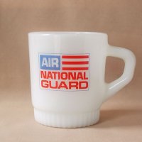AIR NATIONAL GUARD