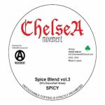 Spice Blend vol. 3  late90's-early00's Dancehall 45Mix / Spicy of Chelsea Movement