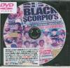 (DVD)BLACK SCORPIO37 ANNIVERSARY