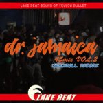 <img class='new_mark_img1' src='https://img.shop-pro.jp/img/new/icons5.gif' style='border:none;display:inline;margin:0px;padding:0px;width:auto;' />Dr.JAMAICA vol.2 45mix ~Dancehall Reggae~ / LAKE BEAT 쥤ӡ