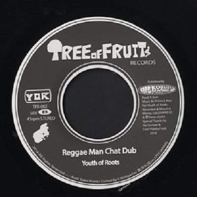 7inch) Reggae Man - Regga Man Chat Dub / Youth of Roots | REGGAE レゲエ CD  MIX-CD 通販 - トレジャーボックス