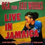 <img class='new_mark_img1' src='https://img.shop-pro.jp/img/new/icons59.gif' style='border:none;display:inline;margin:0px;padding:0px;width:auto;' />[USED] LIVE IN JAMAICA / OGA rep JAH WORKS ジャーワークス