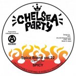 Spice Blend vol. 22 2021 PARTY MIX  / Spicy of Chelsea Movement