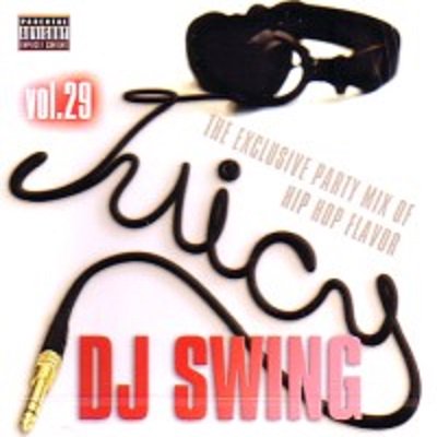 JUICY VOL.29 / DJ SWING | REGGAE レゲエ CD MIX-CD 通販