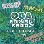 OGAWORKS RADIO MIX VOL.20 / OGA from JAH WORKS ジャーワークス